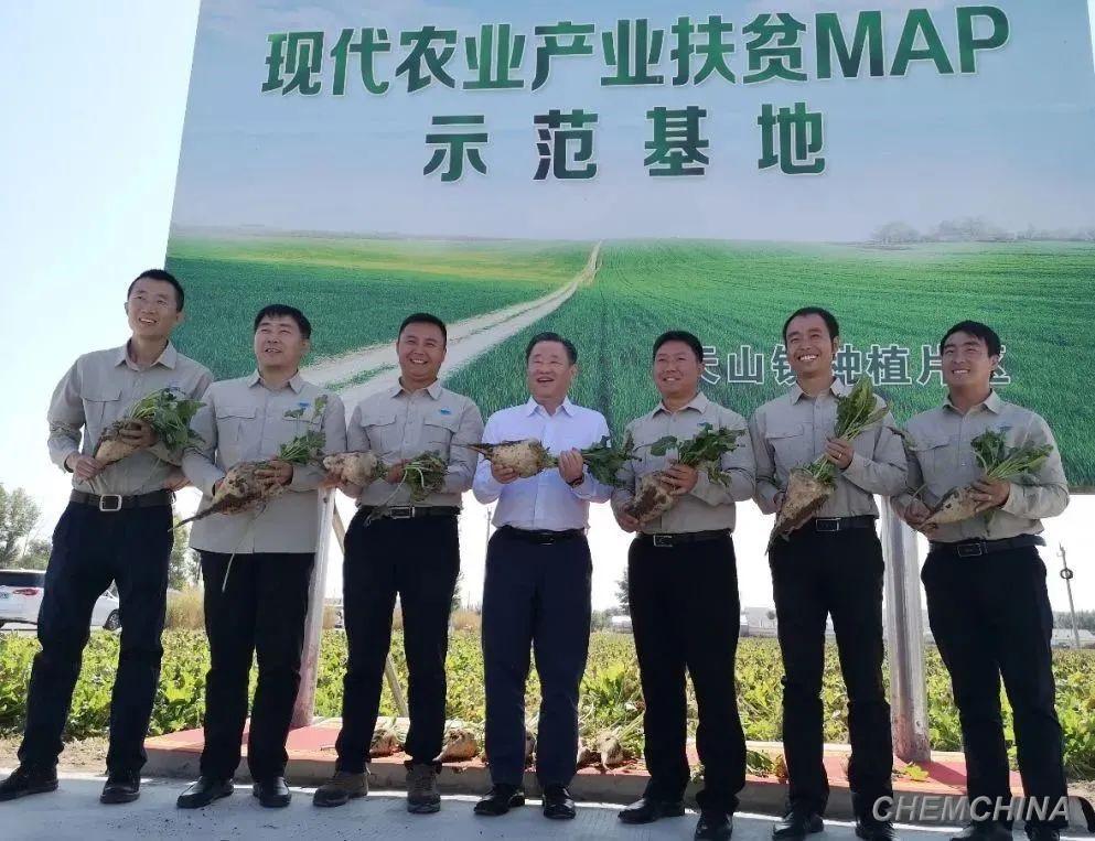 点击查看大图