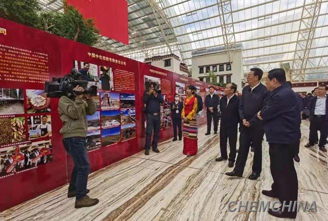 点击查看大图